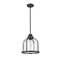 Z-Lite Burren 1 Light Pendant, Matte Black And Clear Seedy 337P12MB - alternate 5